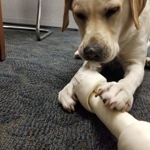 Meet your Posher, Patrick